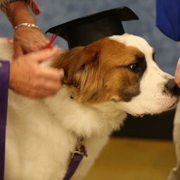 photograph by PeterW